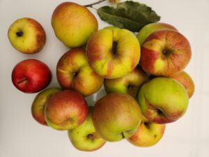 Read more about the article Sezónne jablká – Nielen chuť, ale aj zdravie! 🍏