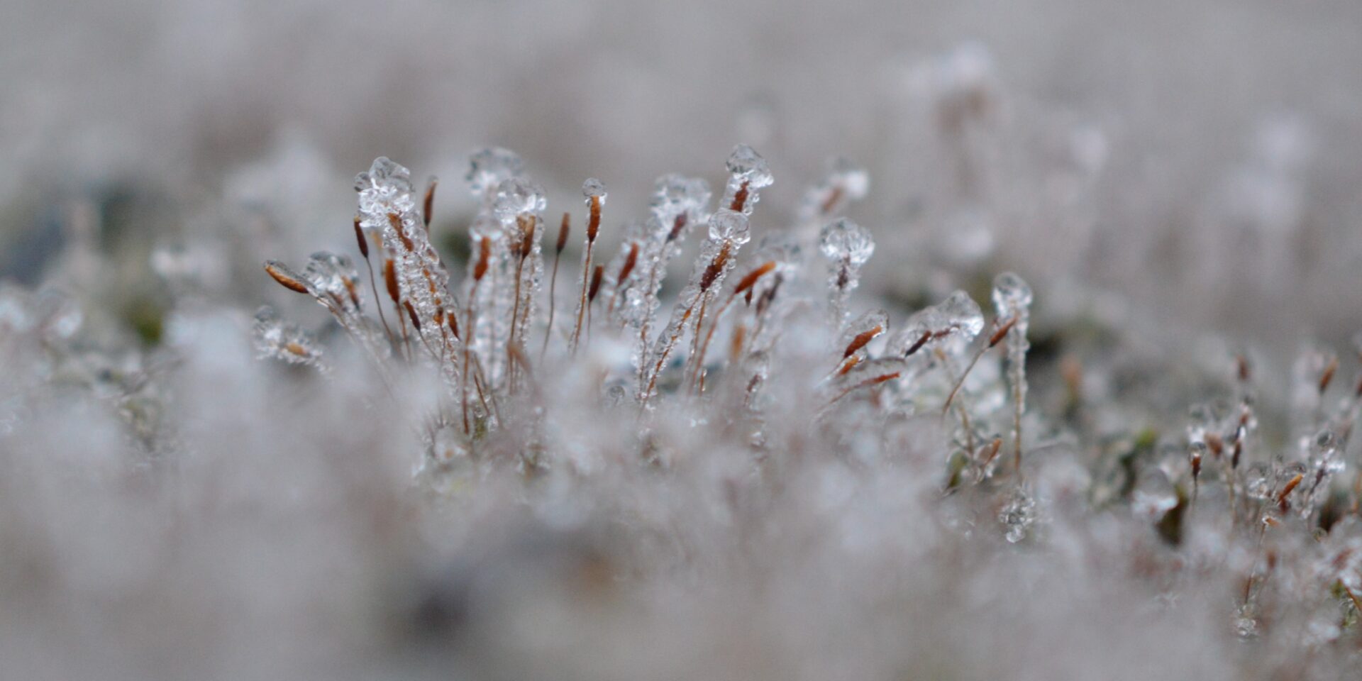 You are currently viewing Ráno po Novom roku