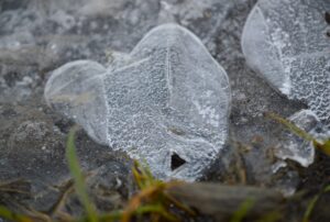 Read more about the article „Nová éra nápojov: Čo potrebujete vedieť o spotrebnej dani“